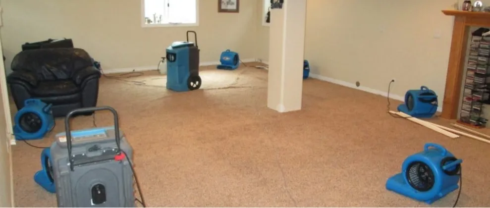 Multiple blue industrial drying equipment and air movers positioned throughout basement during restoration