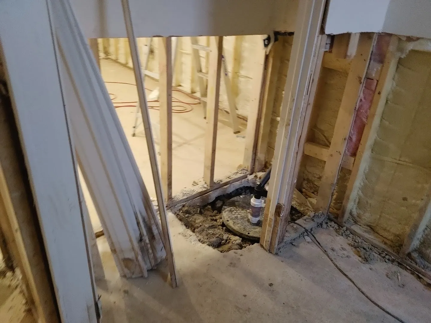 Basement area with exposed framing, water-stained walls and flooring showing significant flooding damage