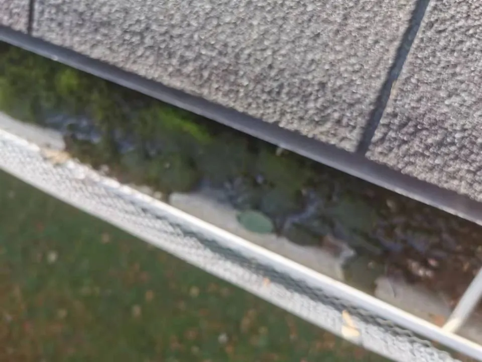 Exterior building gutter with water pooling and algae growth indicating drainage issues